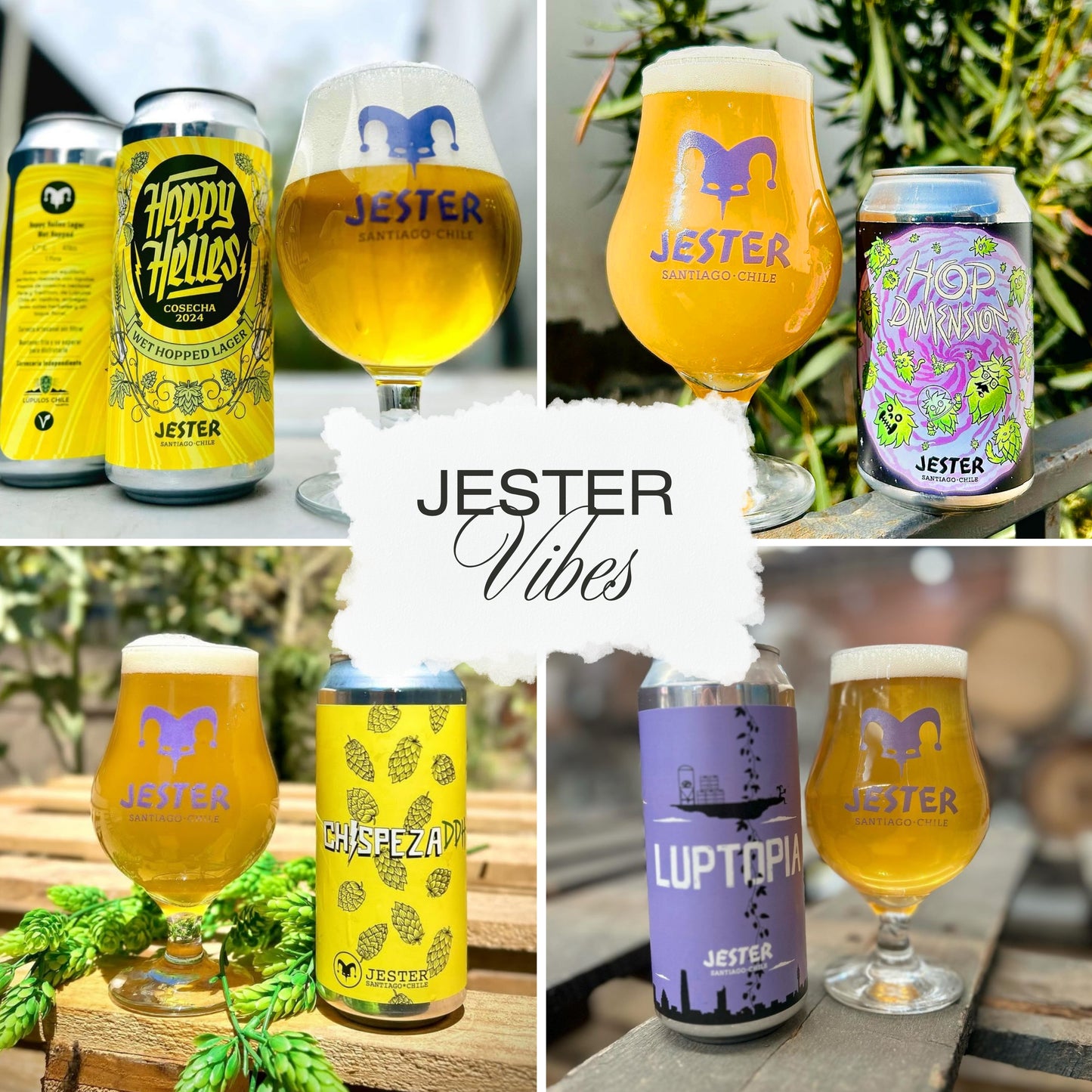 Pack Jester x IPA's